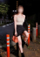 Ranunculus(ラナンキュラス) 小松沢 れむ