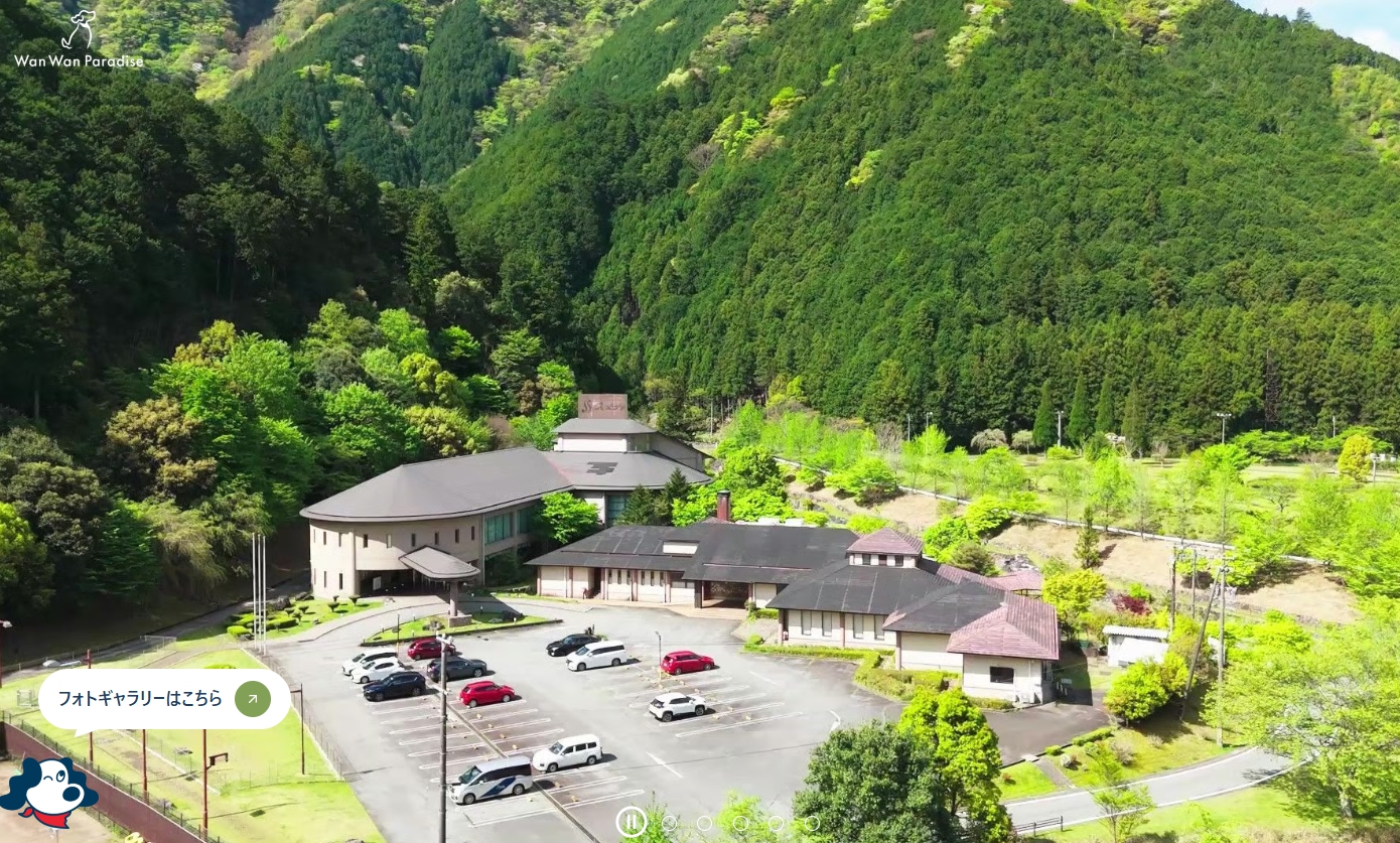 わんわんパラダイス　松阪
