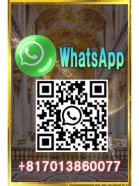 WhatsApp Messenger