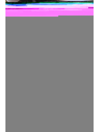 一握りの美女のみ—選び抜かれた逸材をご案内