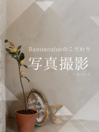 ✨ラナンキュラスのこだわり(写真撮影)✨